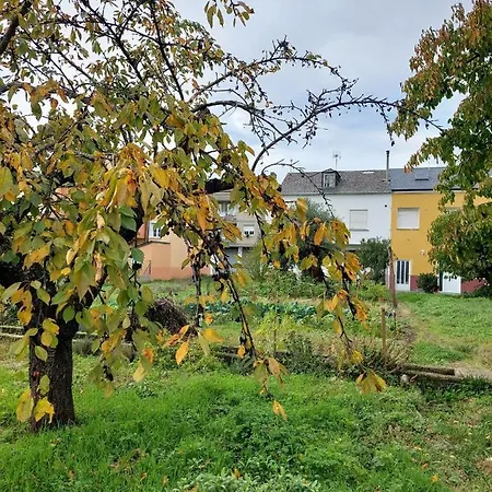 Casa Maysa 度假居 卡卡韦洛斯