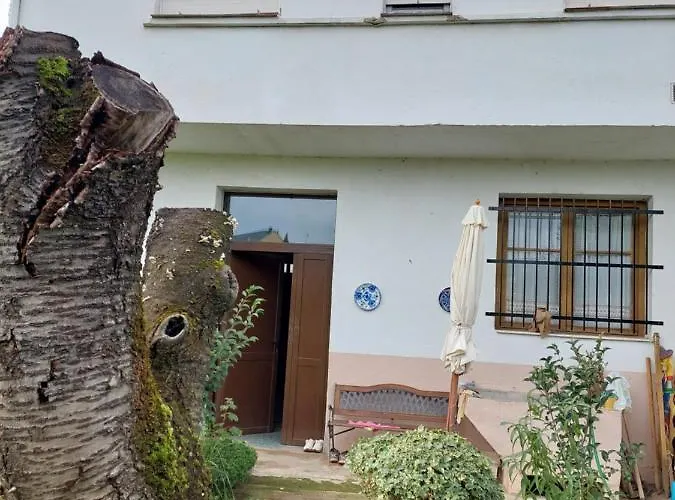 Casa Maysa Cacabelos (Leon)