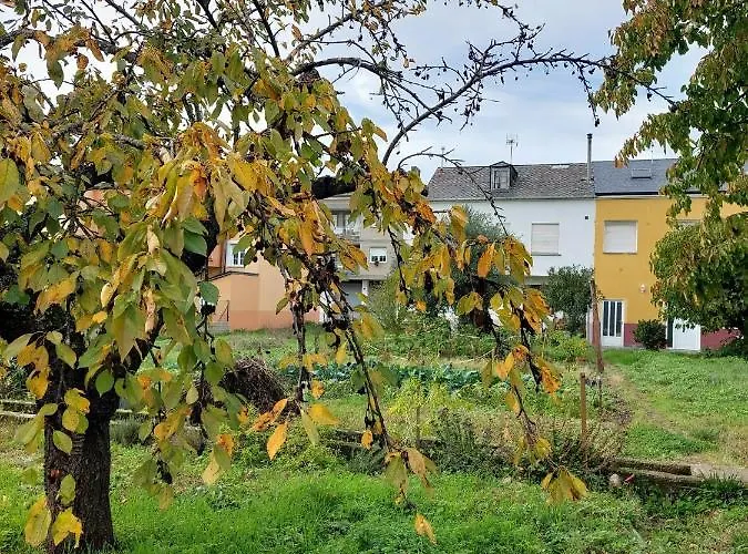 Casa Maysa Casa de Férias Cacabelos (Leon)